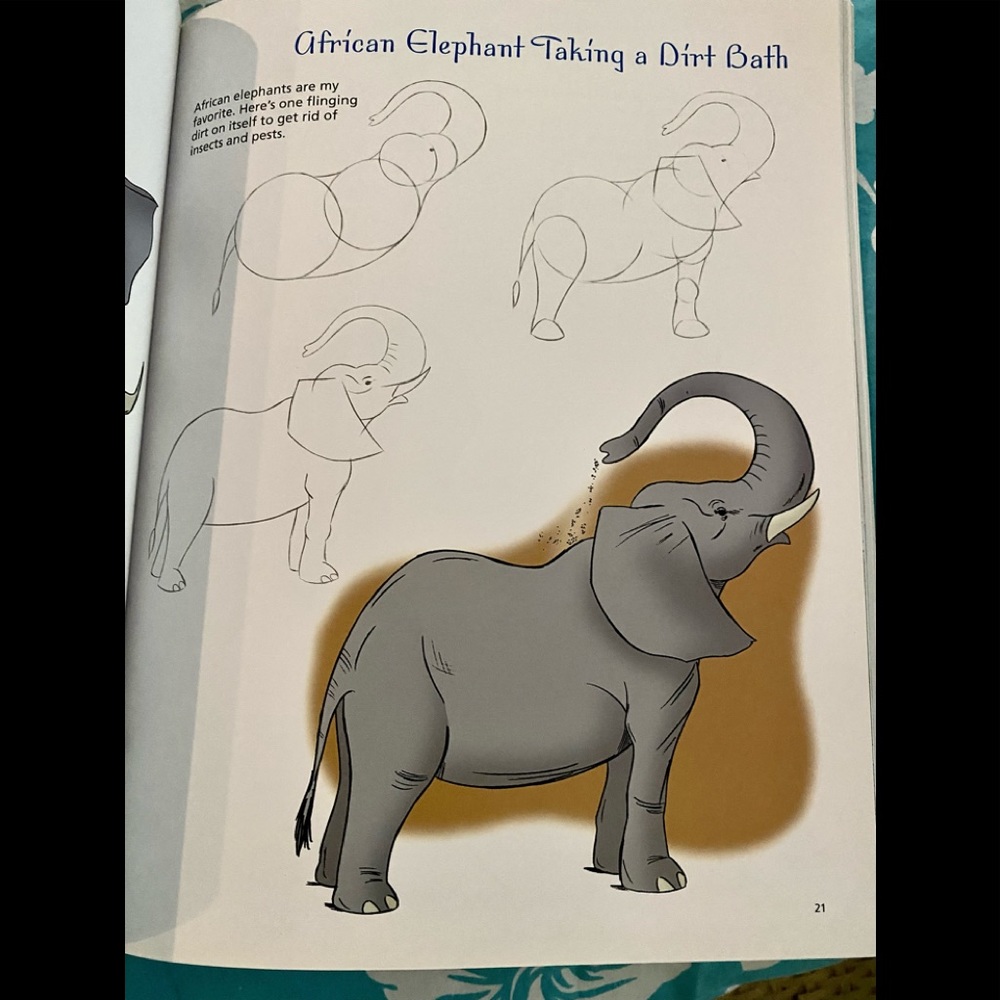 DRAW ANIMALS Big Clean Art Books🦒 Brand New! - Picture 3 of 5